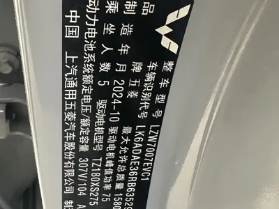 Wuling Bingo PLUS