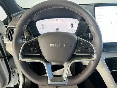 BYD PLUS New Energy