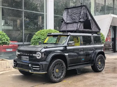 Mansory Mansory Bronco