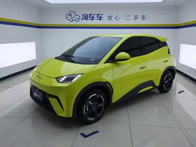 BYD Seagull