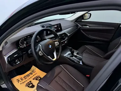 BMW 5 Series New Energy