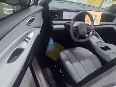 BYD 海狮06