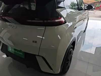 BYD Seagull