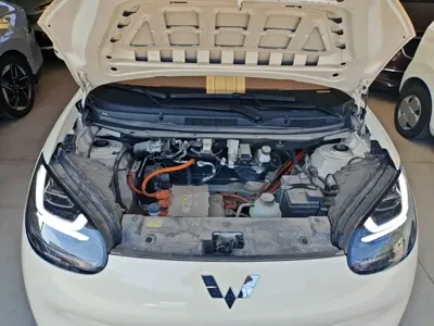 Wuling Bingo