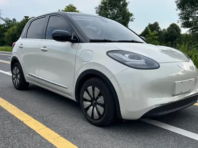 Wuling Bingo