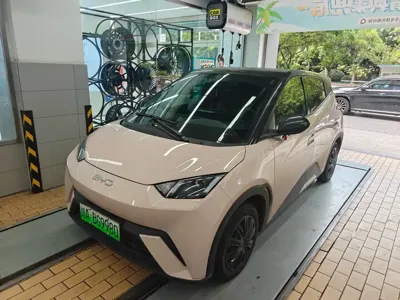 BYD Seagull