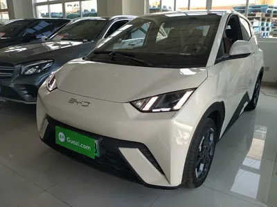 BYD Seagull
