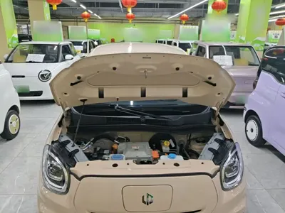 Leapmotor Leapmotor T03