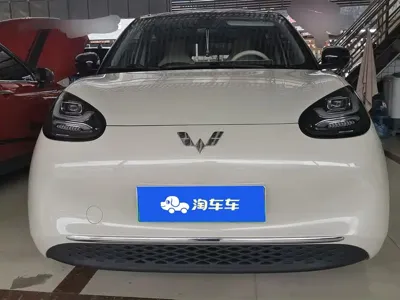 Wuling Bingo
