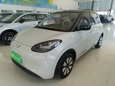 Wuling Bingo