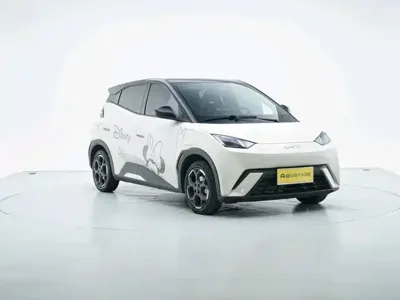 BYD Seagull