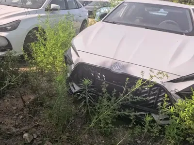 MG MG6