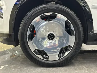 Zeekr 极氪9X