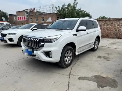 Haval H9