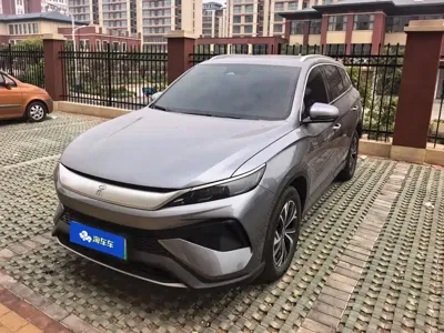 BYD Pro New Energy