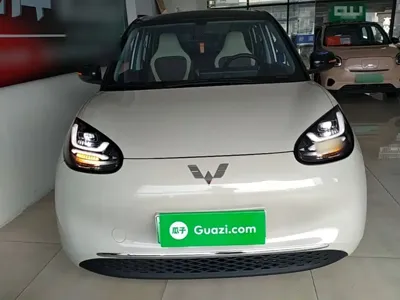 Wuling Bingo