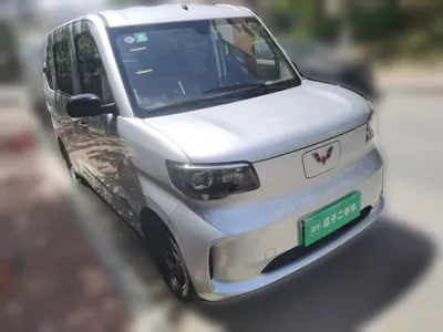 Wuling Zhiguang New Energy