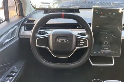 NETA V