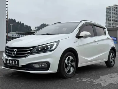 Baojun 310