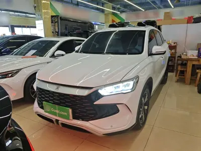 BYD Pro New Energy