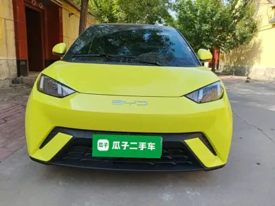 BYD Seagull