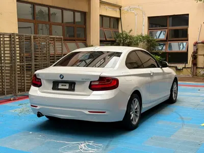 BMW 2 Series (Import)