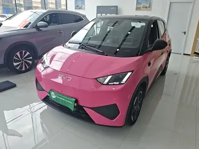 BYD Seagull