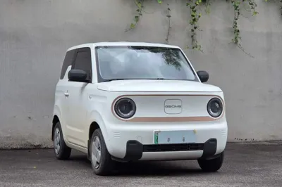Geely Galaxy Panda