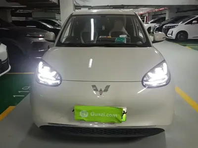 Wuling Bingo