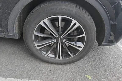 WEY VV6