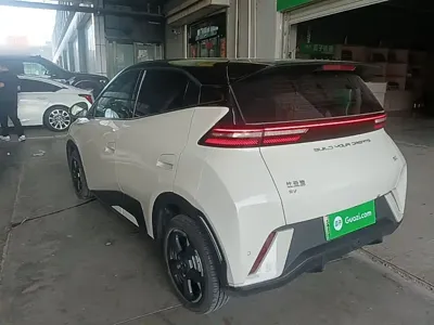 BYD Seagull