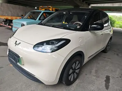Wuling Bingo