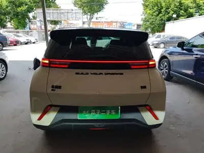 BYD Seagull