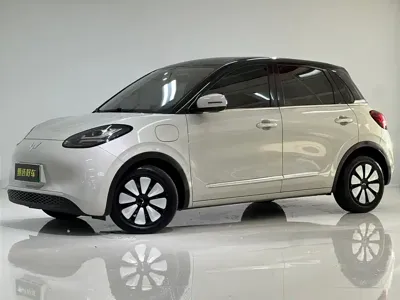 Wuling Bingo
