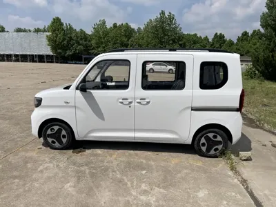 Wuling Zhiguang EV