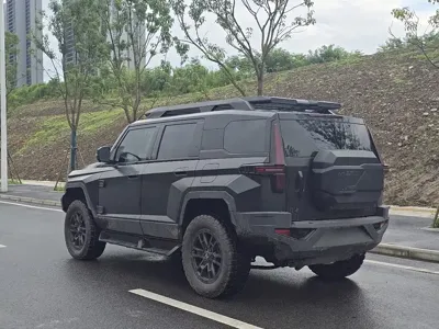 Mengshi Mengshi 917