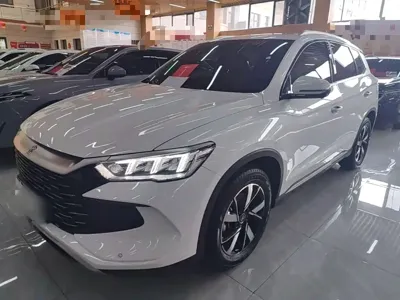 BYD Pro New Energy