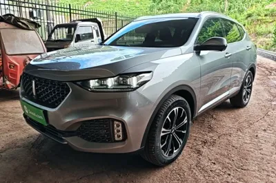 WEY VV6