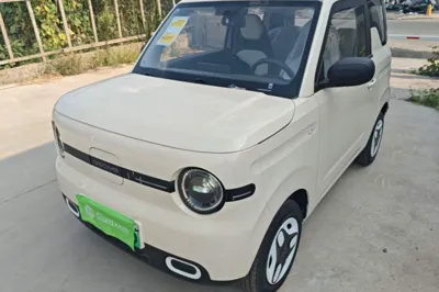 Geely Galaxy Panda