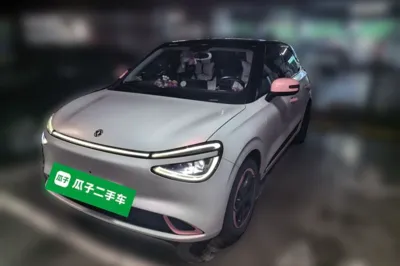 Dongfeng NAMMI 01