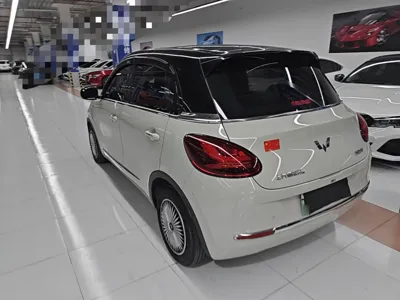 Wuling Bingo