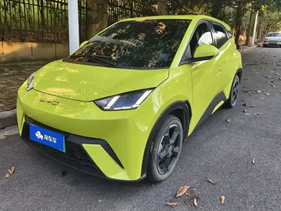 BYD Seagull
