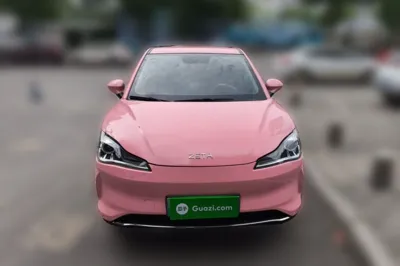 NETA V