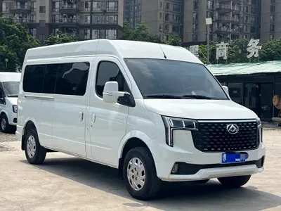 Maxus V80