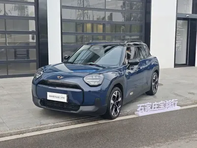 MINI MINI ACEMAN EV