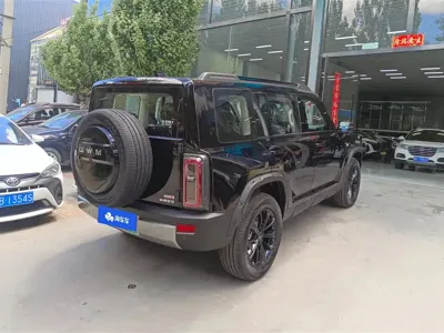 Haval 长城猛龙 PLUS