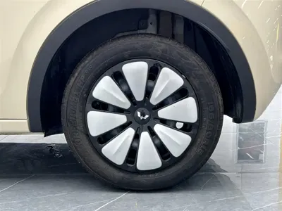 Wuling Bingo