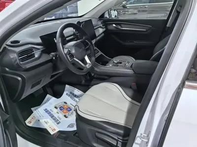 BYD Destroyer 05