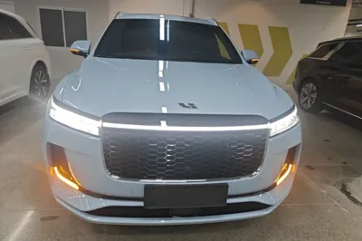 Li Auto ONE