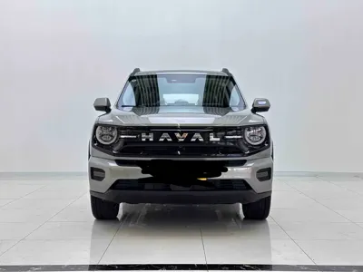 Haval 哈弗大狗 PLUS 新能源